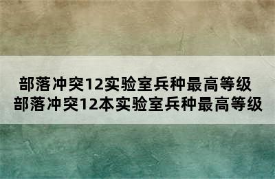 部落冲突12实验室兵种最高等级 部落冲突12本实验室兵种最高等级